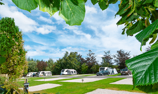 All Weather spacious tent pitches